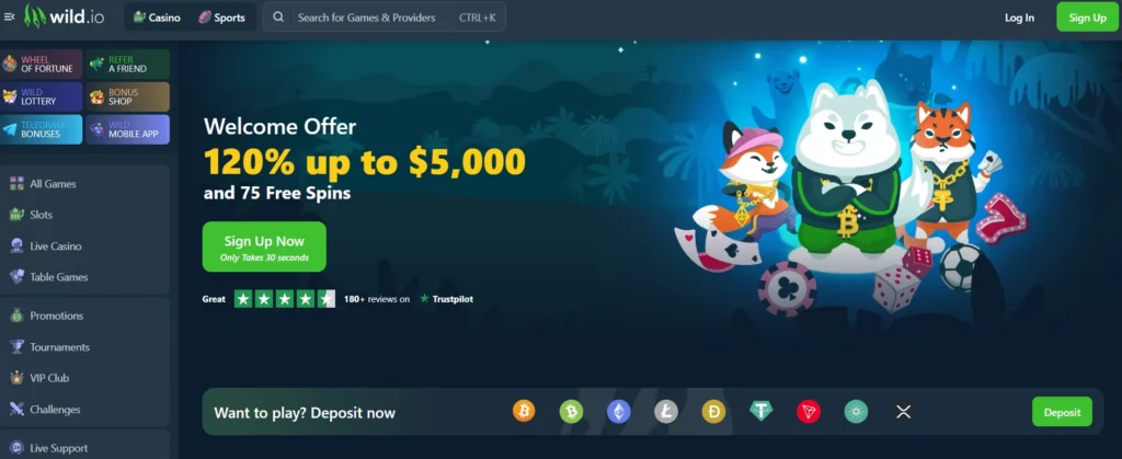 Wild.io crypto casino app